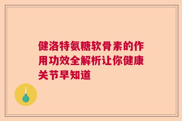 健洛特氨糖软骨素的作用功效全解析让你健康关节早知道