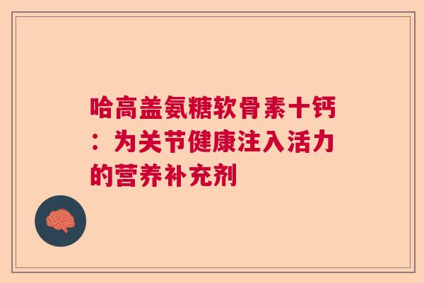 哈高盖氨糖软骨素十钙：为关节健康注入活力的营养补充剂