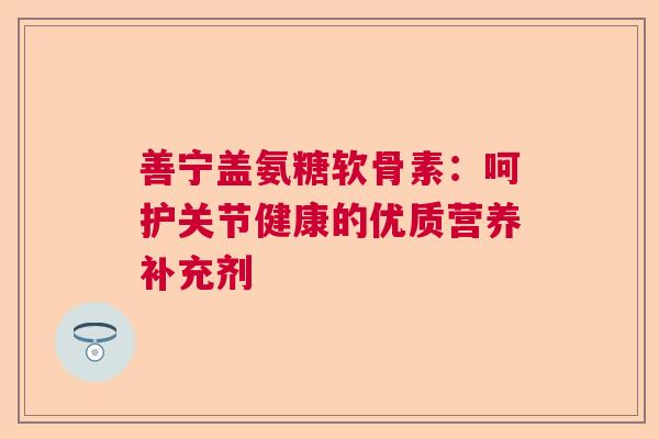 善宁盖氨糖软骨素：呵护关节健康的优质营养补充剂