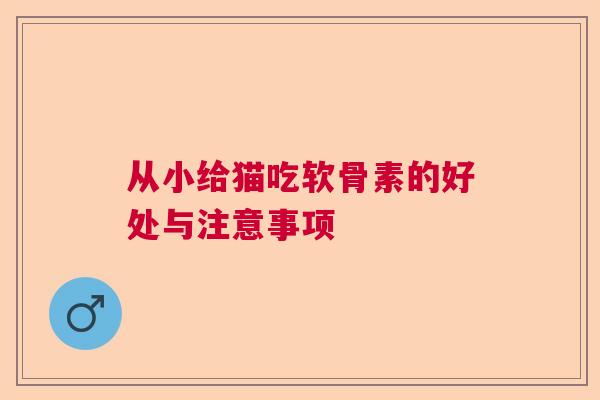 从小给猫吃软骨素的好处与注意事项