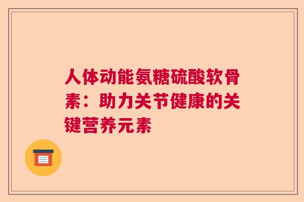 人体动能氨糖硫酸软骨素：助力关节健康的关键营养元素