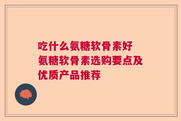 吃什么氨糖软骨素好 氨糖软骨素选购要点及优质产品推荐