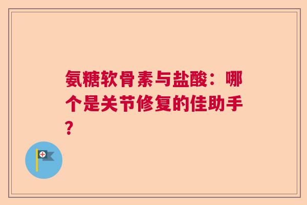氨糖软骨素与盐酸：哪个是关节修复的佳助手？