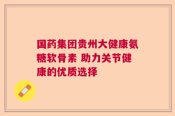 国药集团贵州大健康氨糖软骨素 助力关节健康的优质选择