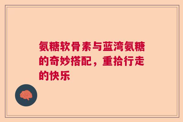 氨糖软骨素与蓝湾氨糖的奇妙搭配，重拾行走的快乐