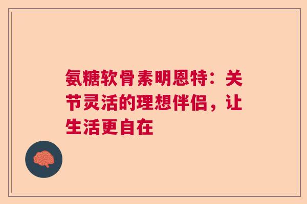 氨糖软骨素明恩特：关节灵活的理想伴侣，让生活更自在