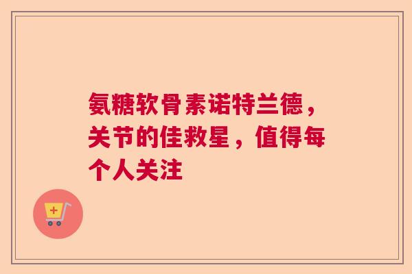 氨糖软骨素诺特兰德，关节的佳救星，值得每个人关注