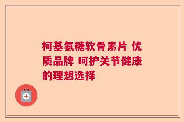 柯基氨糖软骨素片 优质品牌 呵护关节健康的理想选择