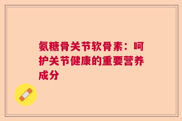 氨糖骨关节软骨素：呵护关节健康的重要营养成分