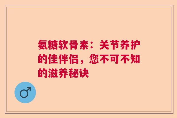 氨糖软骨素：关节养护的佳伴侣，您不可不知的滋养秘诀