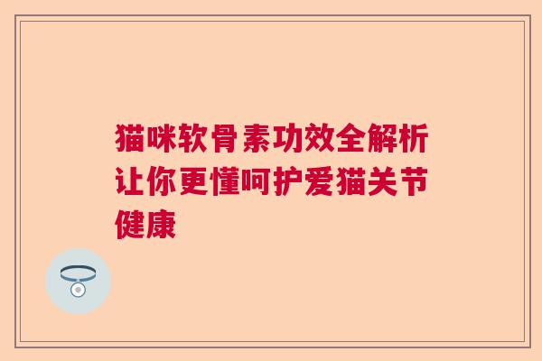 猫咪软骨素功效全解析让你更懂呵护爱猫关节健康