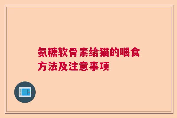氨糖软骨素给猫的喂食方法及注意事项