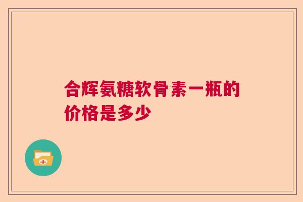 合辉氨糖软骨素一瓶的价格是多少