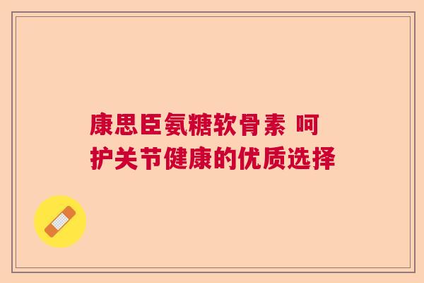 康思臣氨糖软骨素 呵护关节健康的优质选择