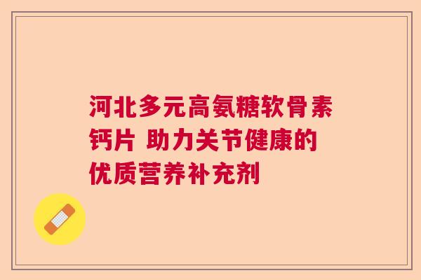 河北多元高氨糖软骨素钙片 助力关节健康的优质营养补充剂