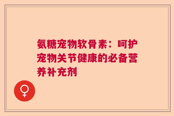氨糖宠物软骨素：呵护宠物关节健康的必备营养补充剂