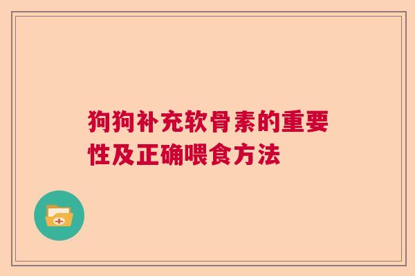 狗狗补充软骨素的重要性及正确喂食方法