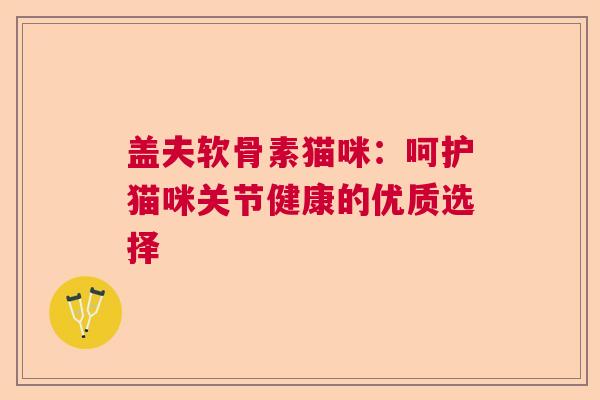 盖夫软骨素猫咪：呵护猫咪关节健康的优质选择