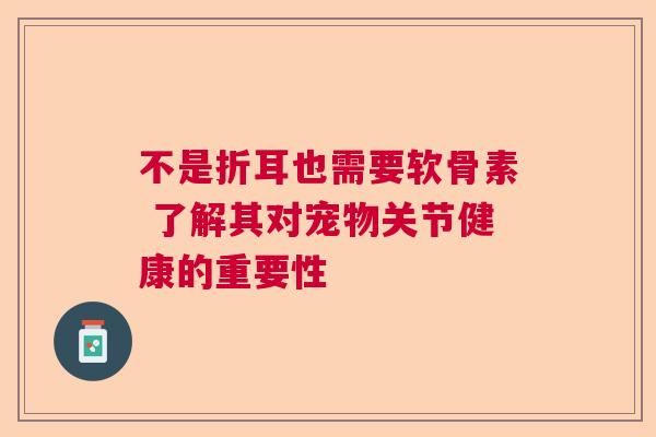 不是折耳也需要软骨素 了解其对宠物关节健康的重要性