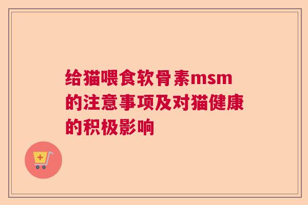给猫喂食软骨素msm的注意事项及对猫健康的积极影响