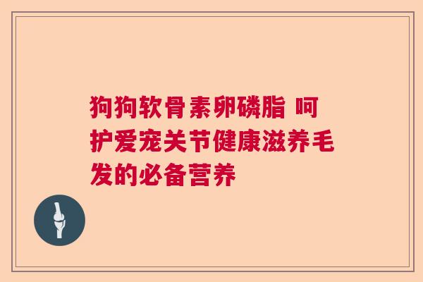 狗狗软骨素卵磷脂 呵护爱宠关节健康滋养毛发的必备营养