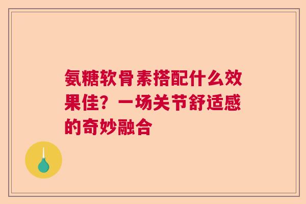 氨糖软骨素搭配什么效果佳？一场关节舒适感的奇妙融合