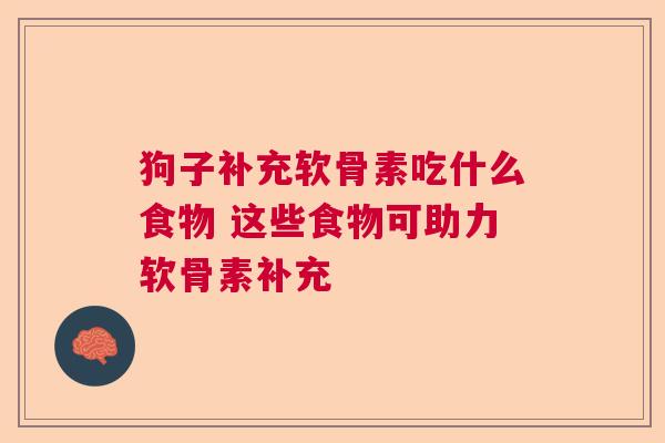 狗子补充软骨素吃什么食物 这些食物可助力软骨素补充