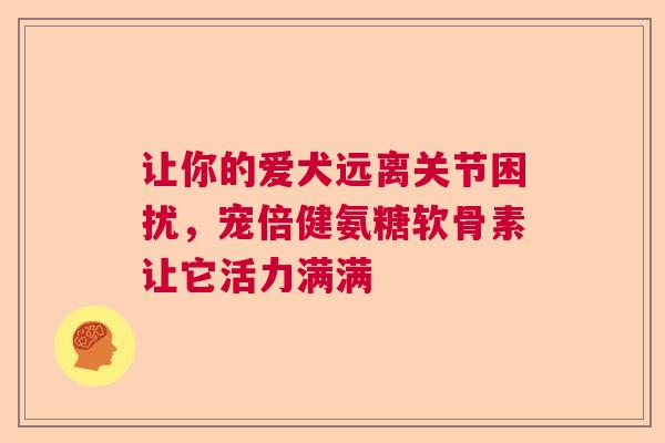 让你的爱犬远离关节困扰，宠倍健氨糖软骨素让它活力满满