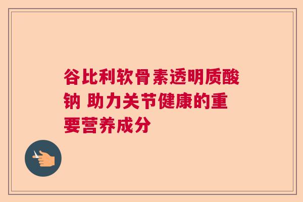 谷比利软骨素透明质酸钠 助力关节健康的重要营养成分