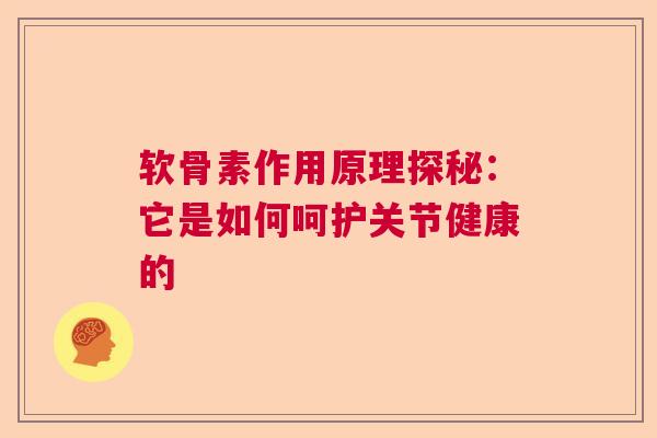 软骨素作用原理探秘：它是如何呵护关节健康的
