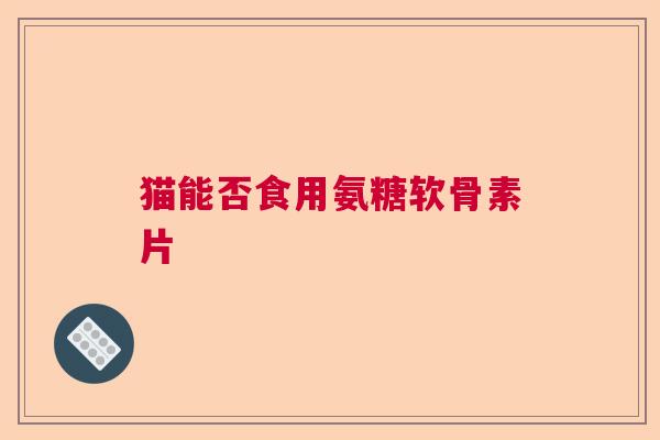 猫能否食用氨糖软骨素片