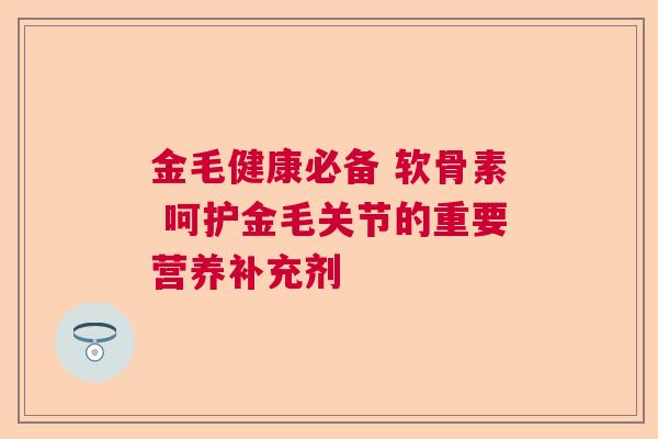 金毛健康必备 软骨素 呵护金毛关节的重要营养补充剂