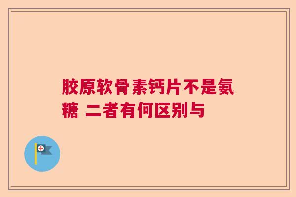 胶原软骨素钙片不是氨糖 二者有何区别与