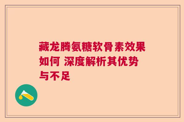 藏龙腾氨糖软骨素效果如何 深度解析其优势与不足