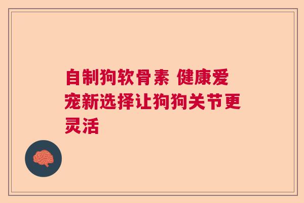 自制狗软骨素 健康爱宠新选择让狗狗关节更灵活
