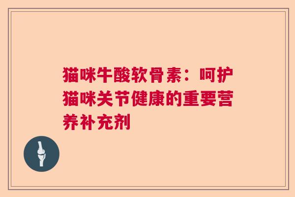 猫咪牛酸软骨素：呵护猫咪关节健康的重要营养补充剂
