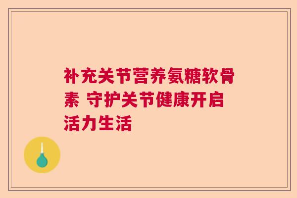 补充关节营养氨糖软骨素 守护关节健康开启活力生活