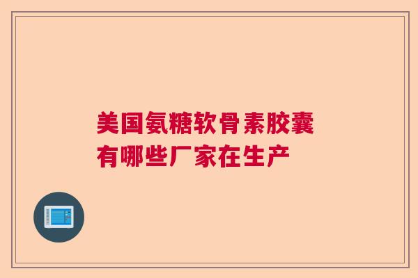 美国氨糖软骨素胶囊 有哪些厂家在生产