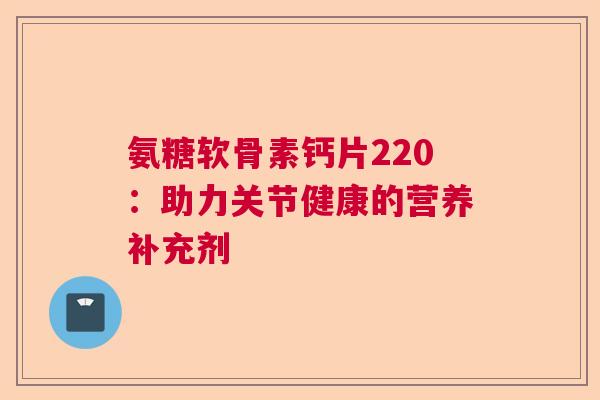 氨糖软骨素钙片220：助力关节健康的营养补充剂