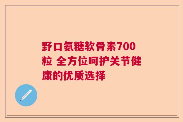 野口氨糖软骨素700粒 全方位呵护关节健康的优质选择