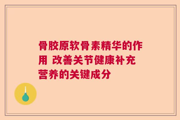 骨胶原软骨素精华的作用 改善关节健康补充营养的关键成分