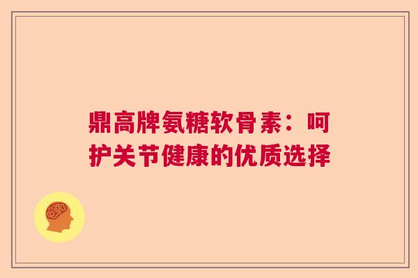 鼎高牌氨糖软骨素：呵护关节健康的优质选择